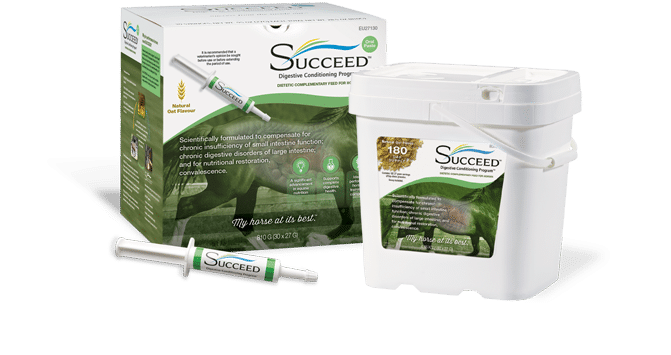 SUCCEED-Digestive-Conditioning-Program