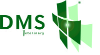 DMS Logo