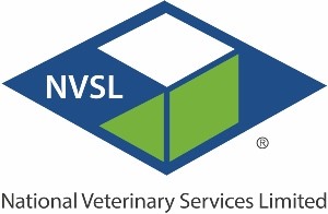 NVSL COLOUR LOGO LARGE