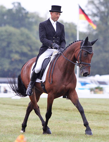 Levett, Bill (AUS) IMPROVISE, CIC***, Blenheim Int HT 2013. Photo: Fiona Scott Maxwell.