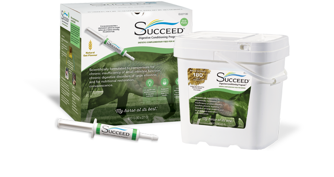 succeed digestive conditioning program